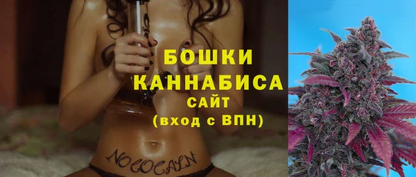 хмурый Аркадак