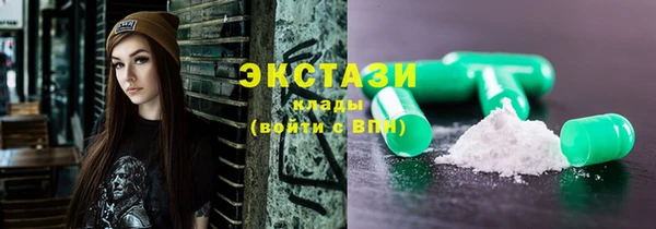 хмурый Аркадак