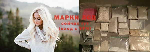 хмурый Аркадак