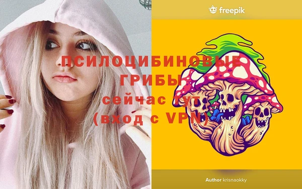 дживик Арсеньев