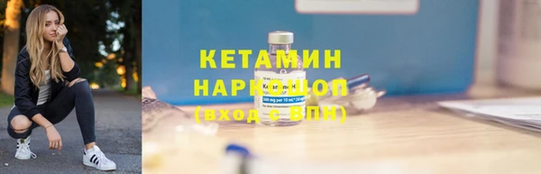 хмурый Аркадак