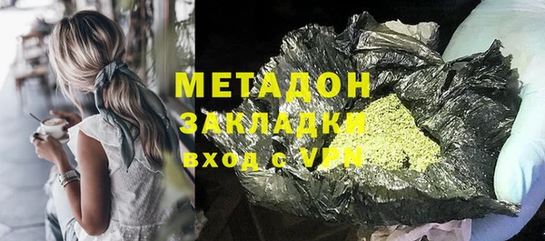 хмурый Аркадак