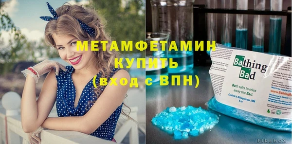 хмурый Аркадак