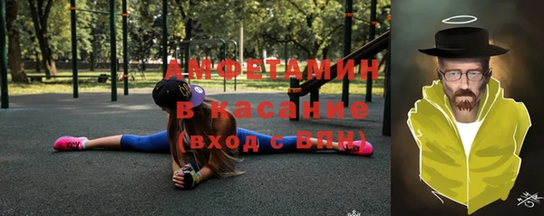 хмурый Аркадак