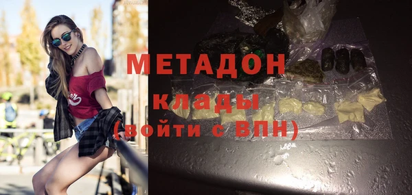 хмурый Аркадак