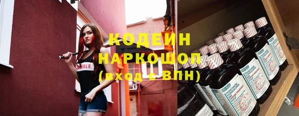 хмурый Аркадак