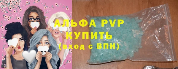 хмурый Аркадак