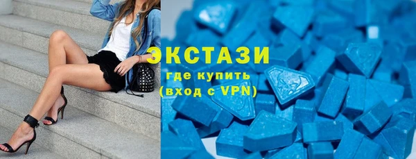 хмурый Аркадак