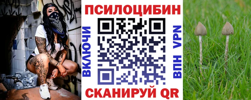 Галлюциногенные грибы прущие грибы  Калач-на-Дону 